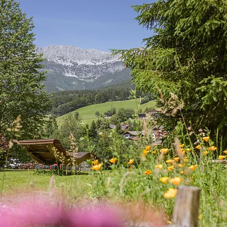 Esche 1 By Interhome