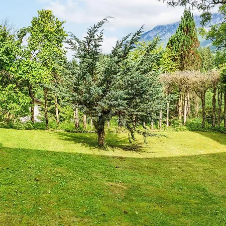 Esche 1 By Interhome * 埃尔毛