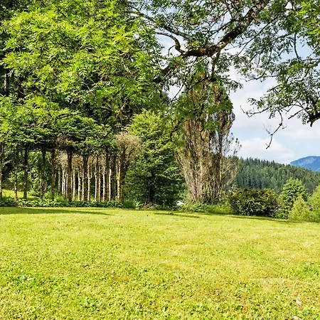 Esche 1 By Interhome