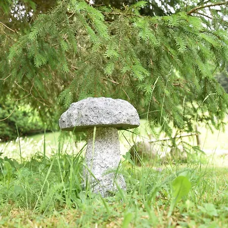 Διαμέρισμα Esche 1 By Interhome